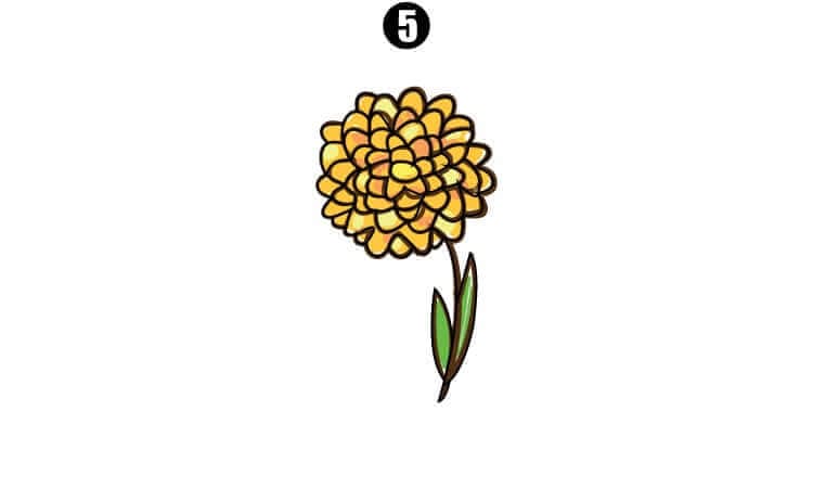 How to Draw a Marigold || A Step by Step Guide - Mousab Babbar