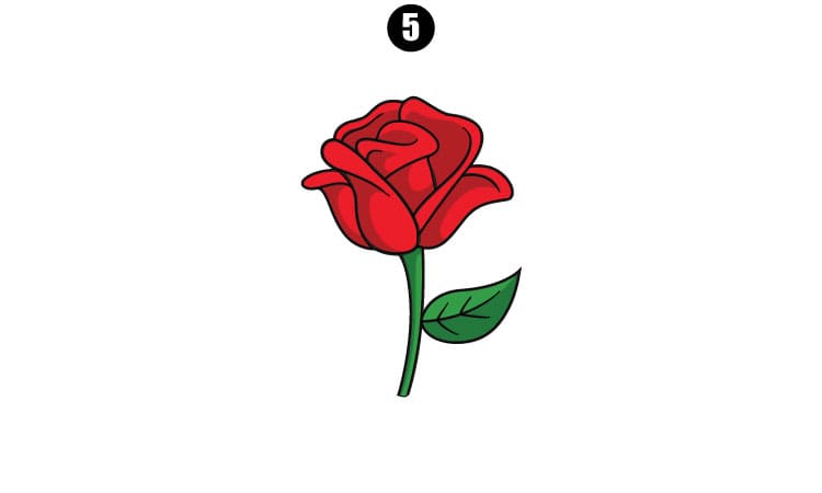 How to Draw a Rose Flower || A Step-by-Step Guide