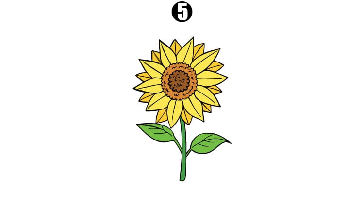 How to Draw a Sunflower || A Step by Step Guide