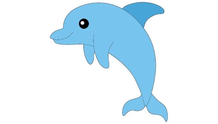 cartoon dolphin